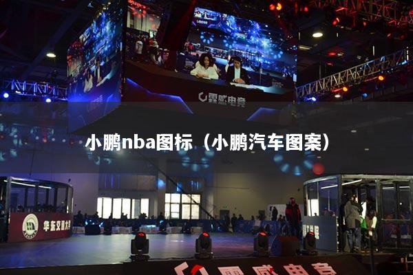 小鹏nba图标（小鹏汽车图案）