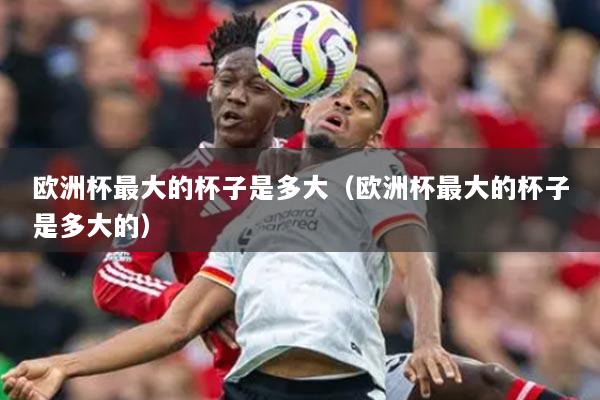 欧洲杯最大的杯子是多大(欧洲杯最大的杯子是多大的)