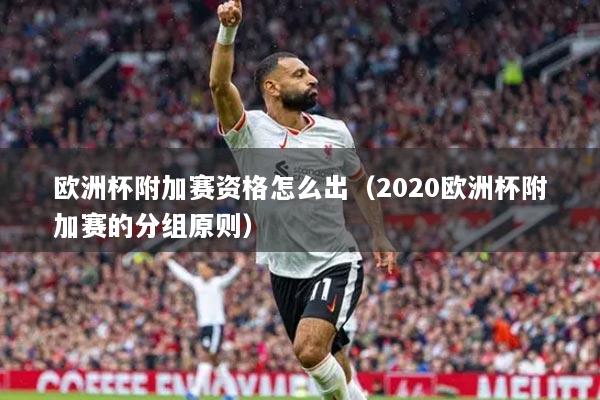 欧洲杯附加赛资格怎么出（2020欧洲杯附加赛的分组原则）