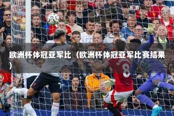 欧洲杯体冠亚军比(欧洲杯体冠亚军比赛结果)