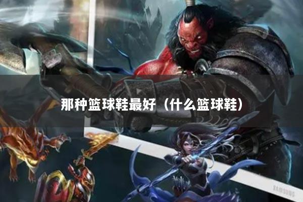 那种篮球鞋最好（什么篮球鞋）