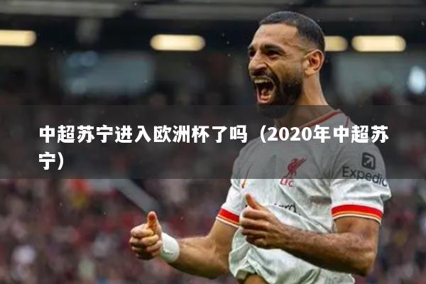 中超苏宁进入欧洲杯了吗（2020年中超苏宁）