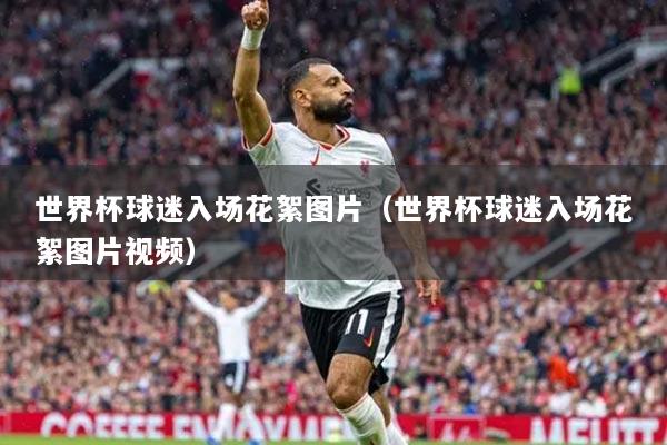 世界杯球迷入场花絮图片（世界杯球迷入场花絮图片视频）
