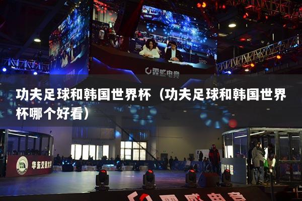 功夫足球和韩国世界杯（功夫足球和韩国世界杯哪个好看）