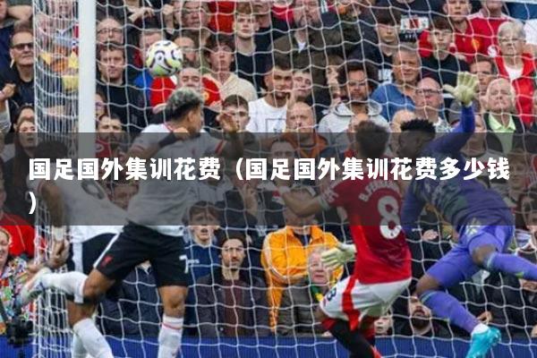 国足国外集训花费（国足国外集训花费多少钱）