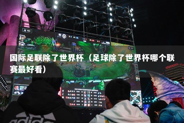 国际足联除了世界杯(足球除了世界杯哪个联赛最好看)