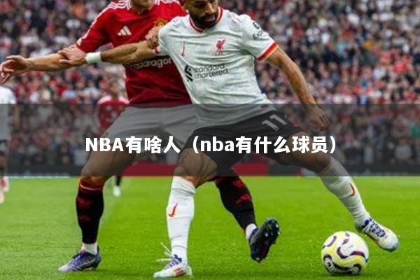 NBA有啥人（nba有什么球员）