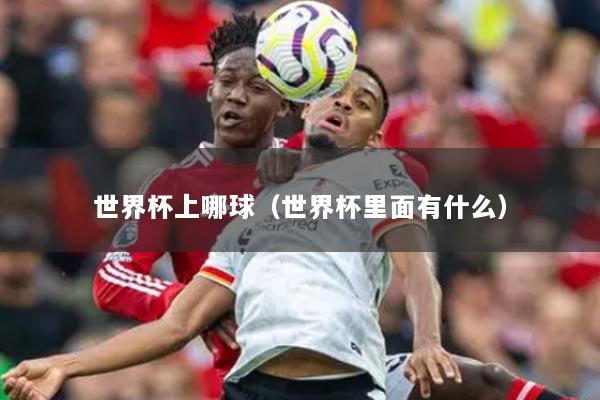 世界杯上哪球(世界杯里面有什么)