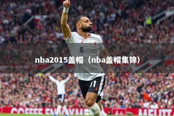 nba2015盖帽（nba盖帽集锦）